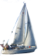 Sailboat