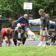 laborDay2009-017.JPG